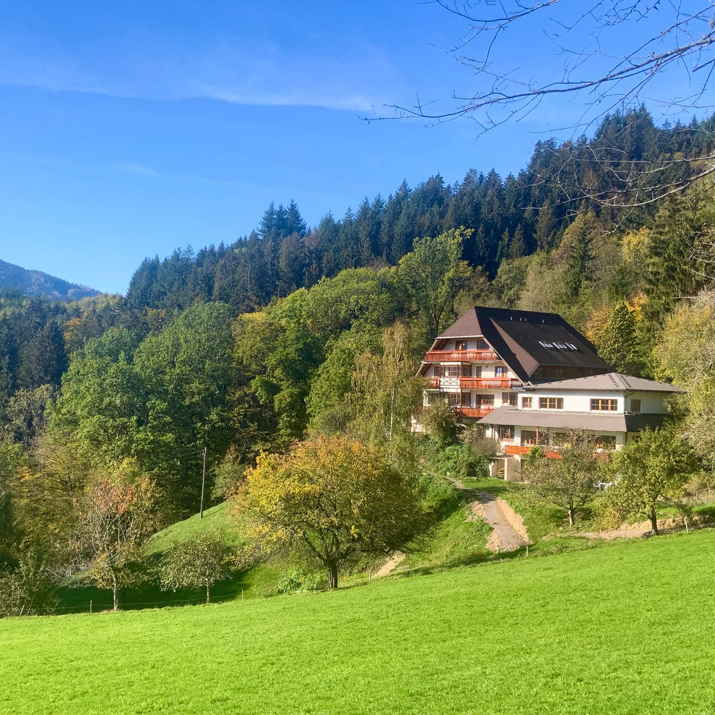 Genuss-Retreat "Yoga meets Flavours" im Schwarzwald