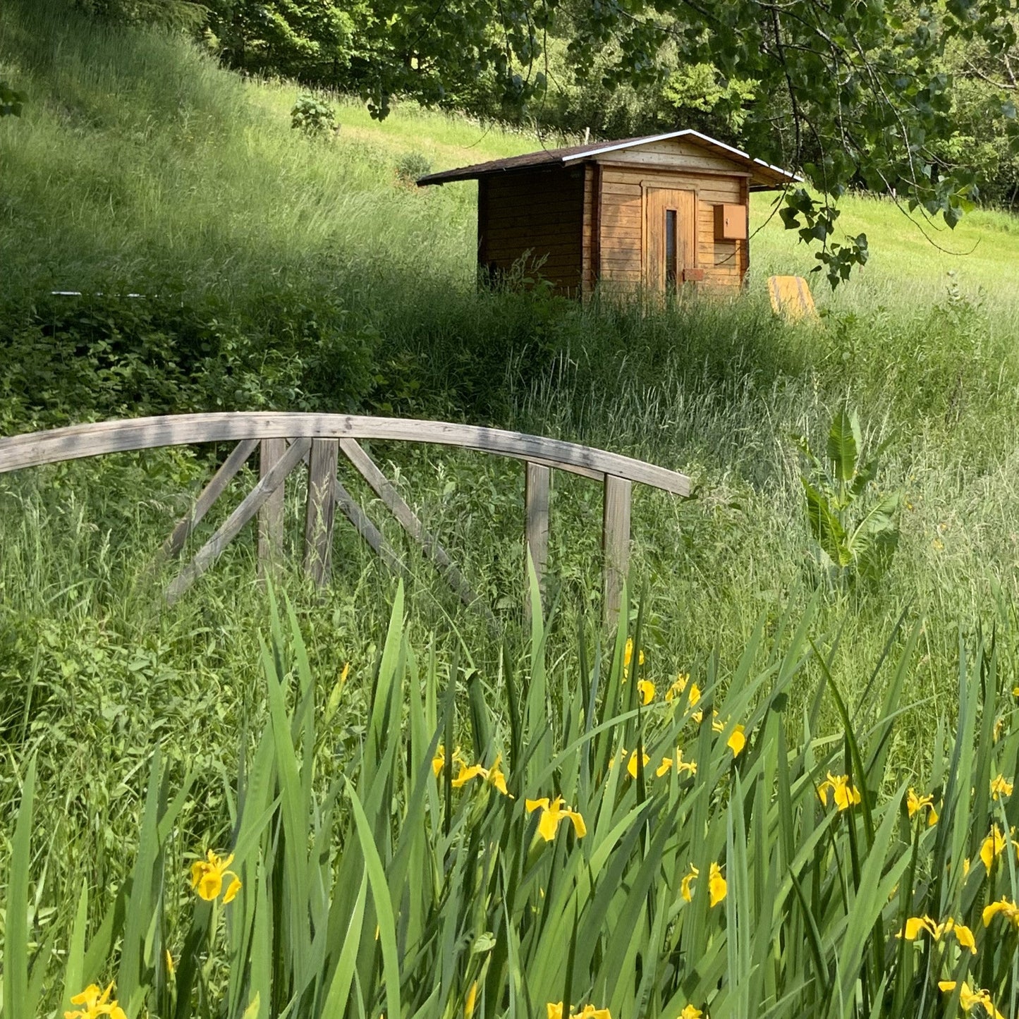 Genuss-Retreat "Yoga meets Flavours" im Schwarzwald