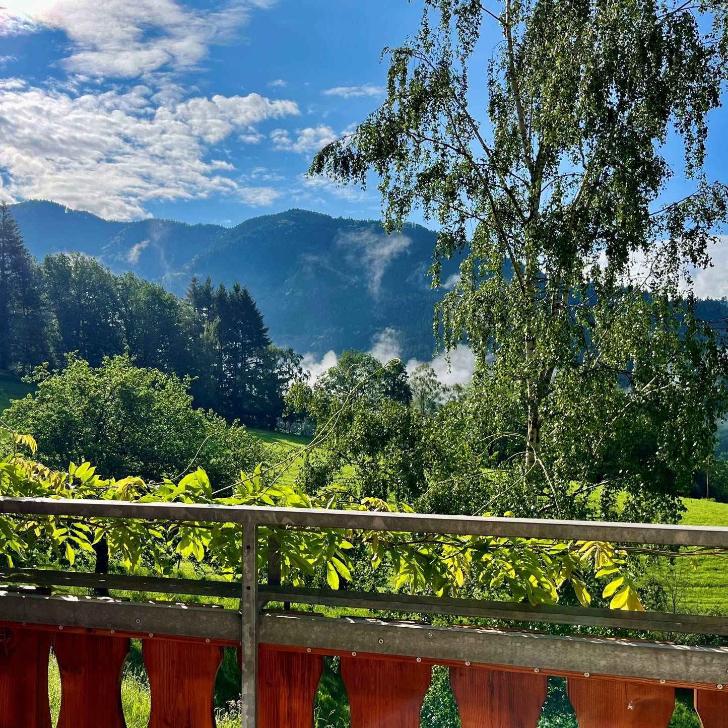 Genuss-Retreat "Yoga meets Flavours" im Schwarzwald