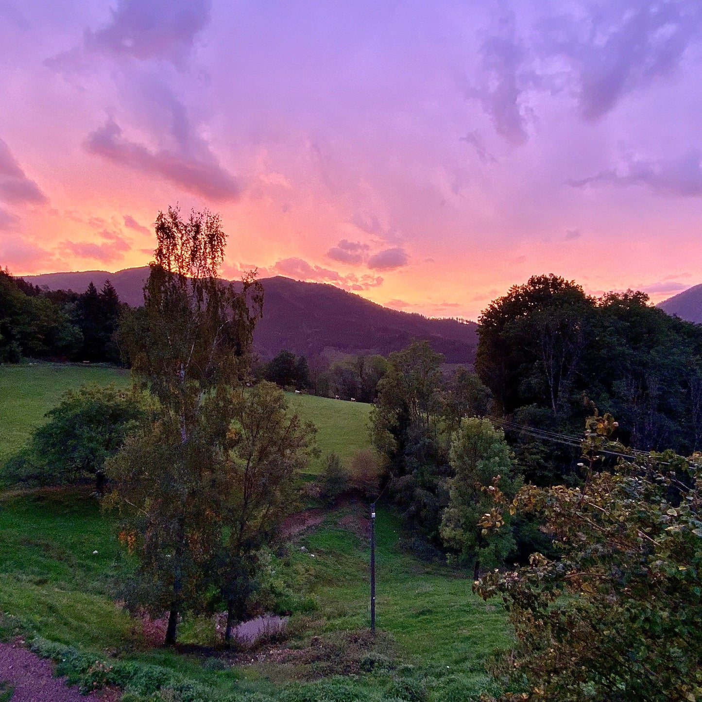 Genuss-Retreat "Yoga meets Flavours" im Schwarzwald